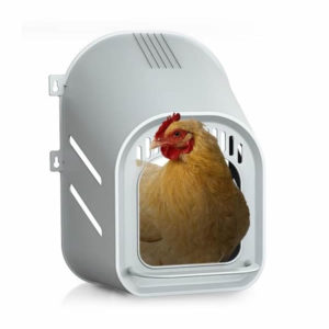Chicken laying nest, gray, new model