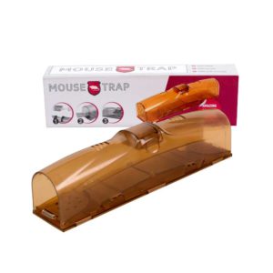 Mouse trap, transparent, double entry