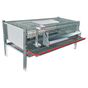 Būris 30-40 paipalām